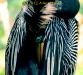 anhinga