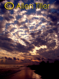 algiers-beach-2010