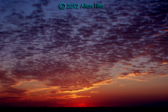 buttermilk-sky_1