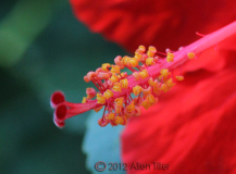 closer