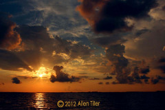 november_0
