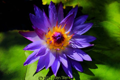 spike_1