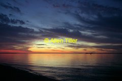 sunset-tropicalia