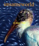 unsameworld01